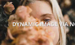 Featured image of post How to Resize Image on the fly with NGINX