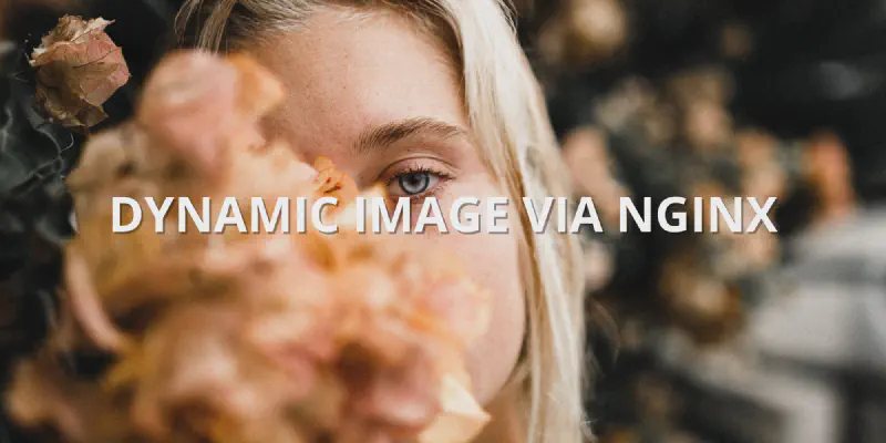 Featured image of post How to Resize Image on the fly with NGINX